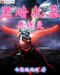 黑暗扎基奥特曼光明形态