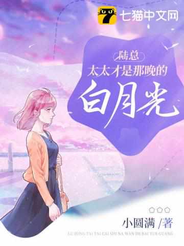 女主叫叶佳的小说男主姓陆