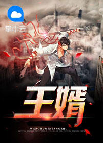 王婿秦风罗白雪免费阅读下载