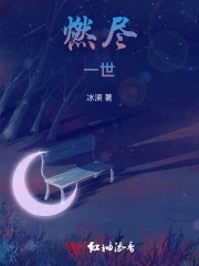 燃尽一世小说阅读免费下载