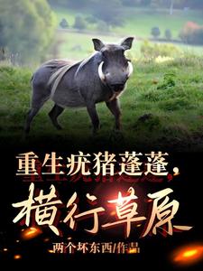 唯我疣猪蓬蓬TXT