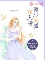 入骨暖爱南少宠妻上瘾